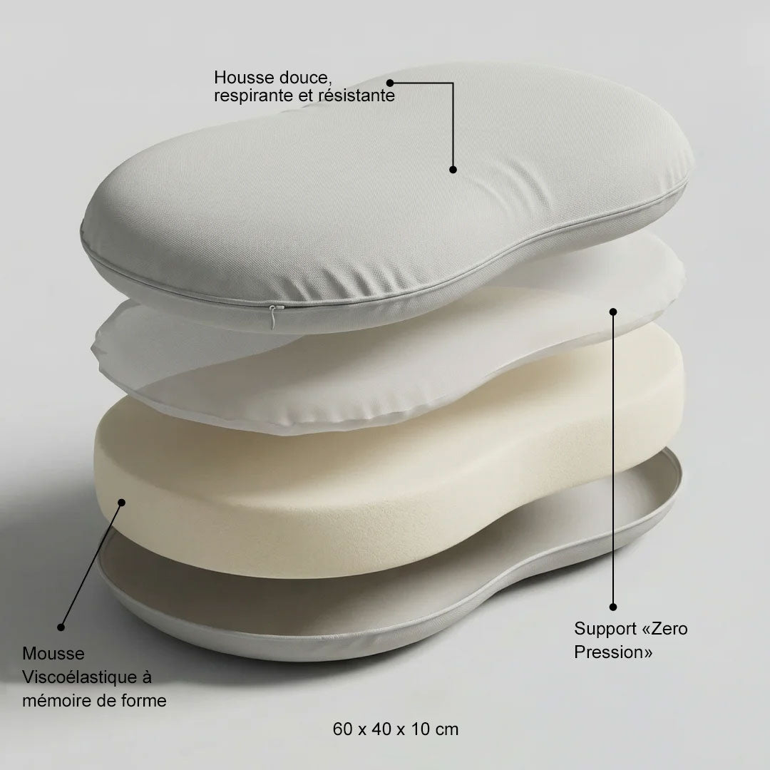 CARESS – Densité à "Pression Zéro"