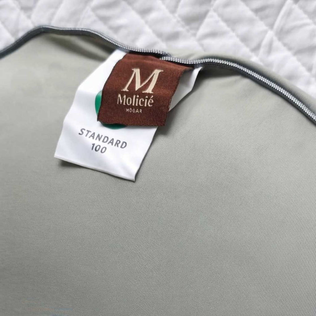 CARESS – Densité à "Pression Zéro"